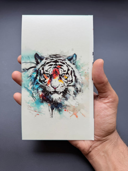 T10 - Ek tha Tiger